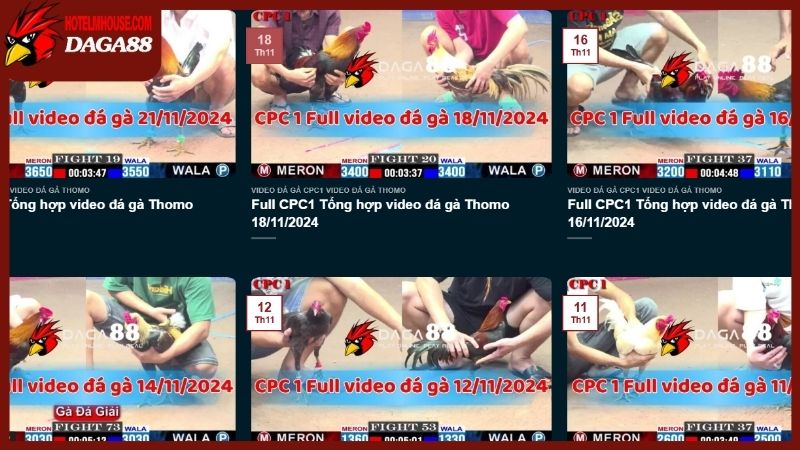 Trang Chủ 31 Dịch vụ xem các trận đá gà trực tiếp 88 hoàn toàn là miễn phí