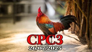 Full Clip Đá Gà C3 Thomo Hôm Nay Ngày 26/07/2025