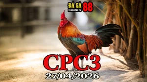 Video đá gà trực tiếp CPC3 ngày 27042026